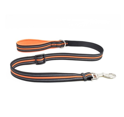 Nylon Retractable Assisted Pet Leash Adjustable Walking Lead