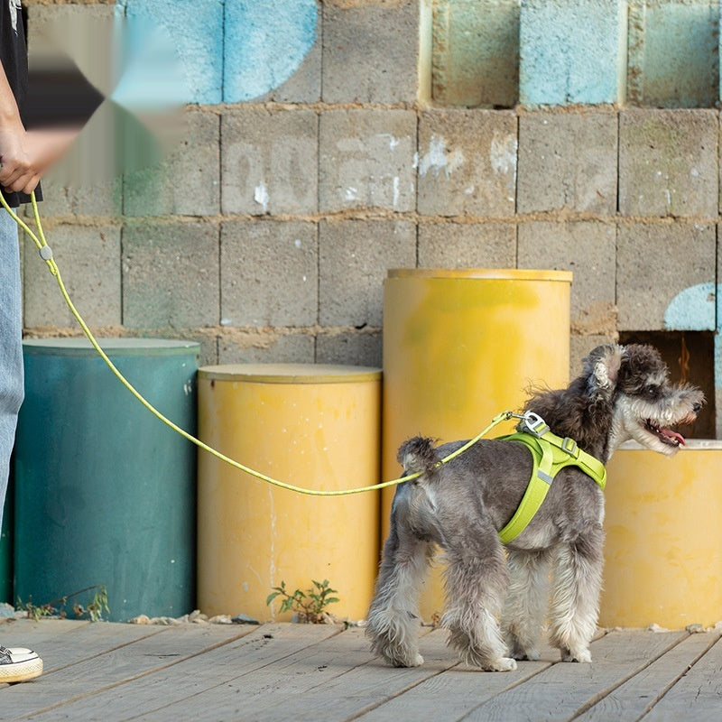 Colorful Sliding Adjustable Pet Leash Walking Lead