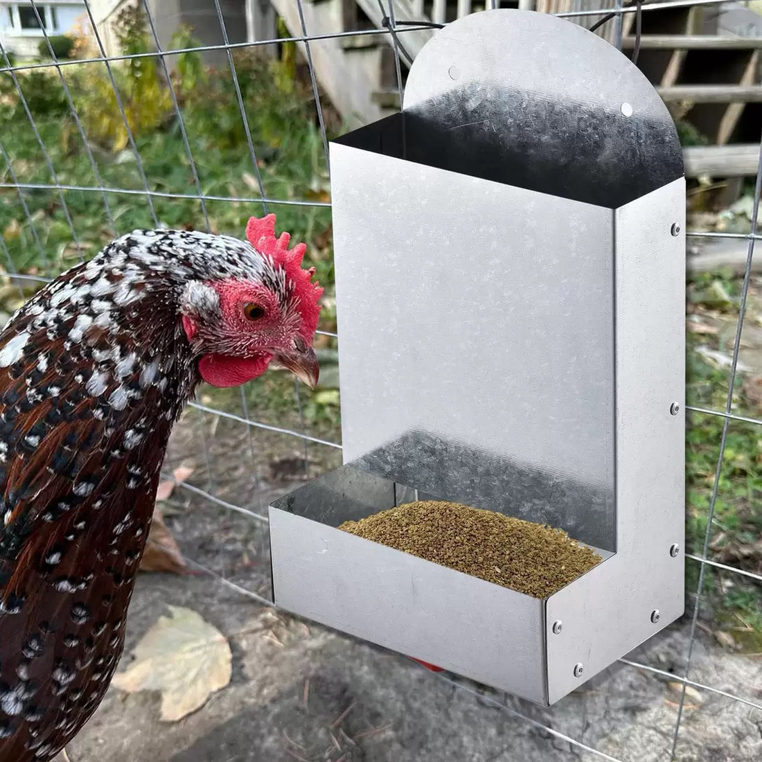 Metal Poultry Feeding Trough Bird Small Animal Feeder
