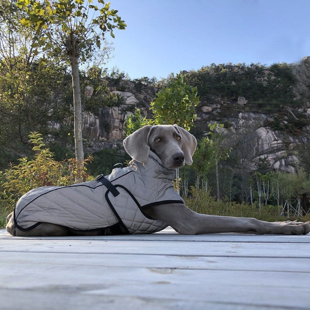 Reflective Full-Body Tactical Pet Jacket For Outdoor Use