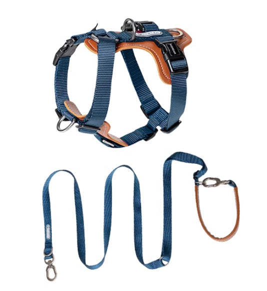 Multifunctional Pet Rope Leash With Chest Strap Safety Design