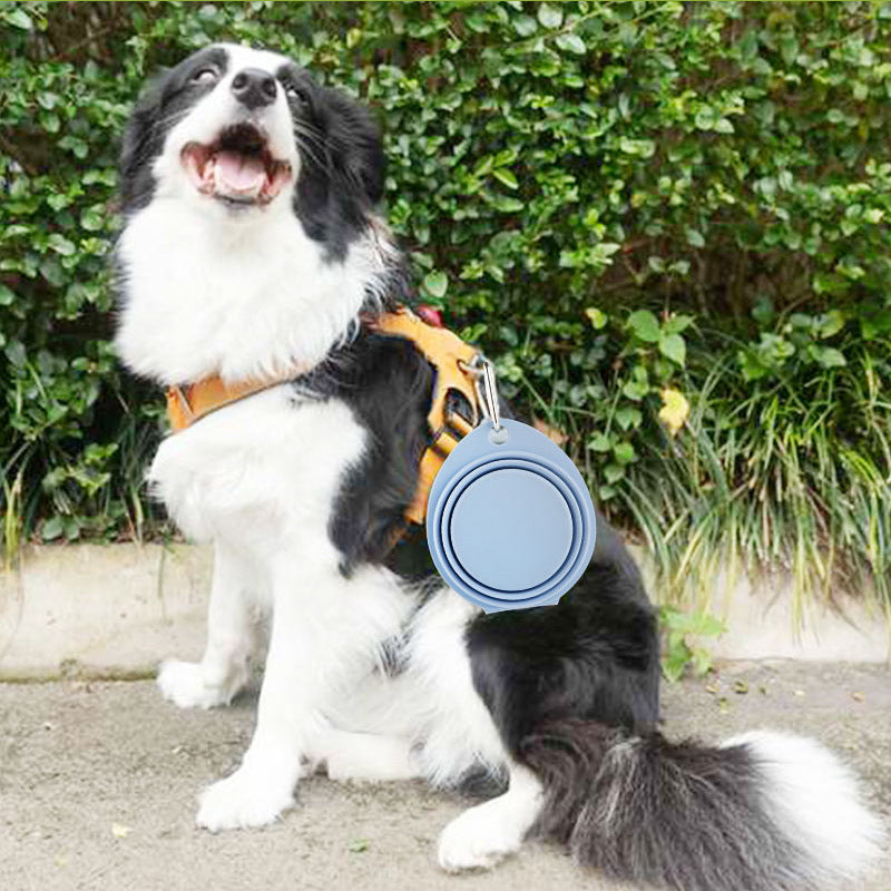 Foldable Silicone Portable Outdoor Pet Feeding Bowl