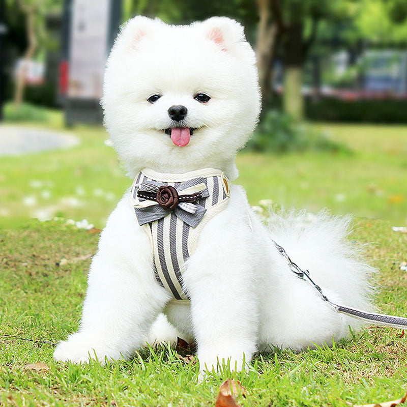New Vest Style Adjustable Pet Chest Strap Harness