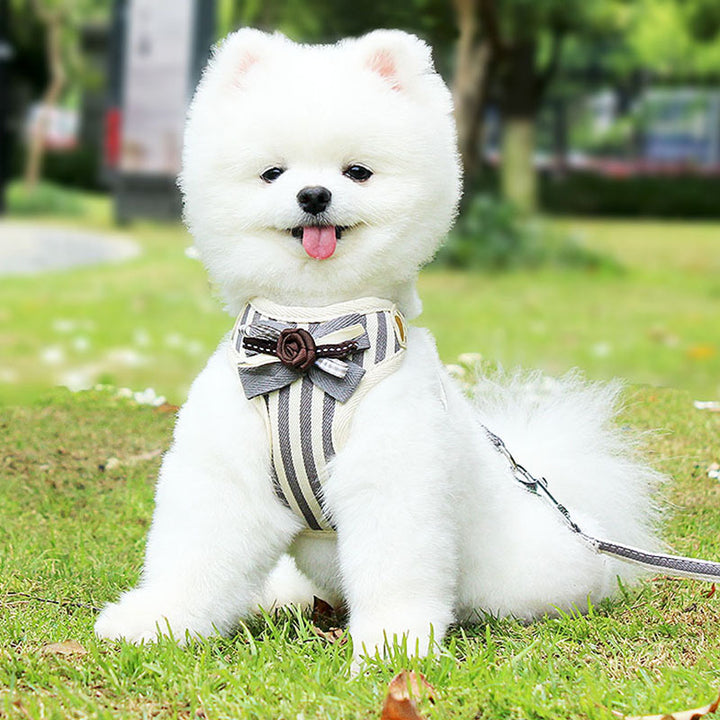 New Vest Style Adjustable Pet Chest Strap Harness