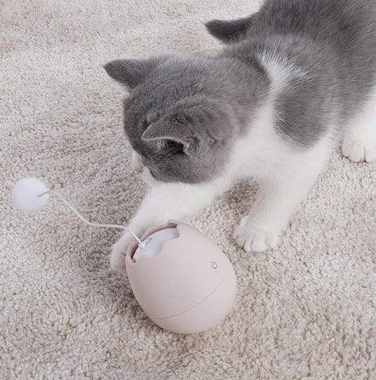 Interactive Pet Funny Play And Entertainment Toy