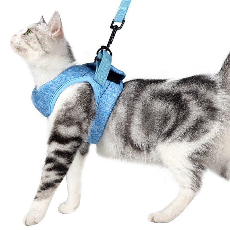 Lightweight Breathable Lace Rope Pet Chest Strap Leash