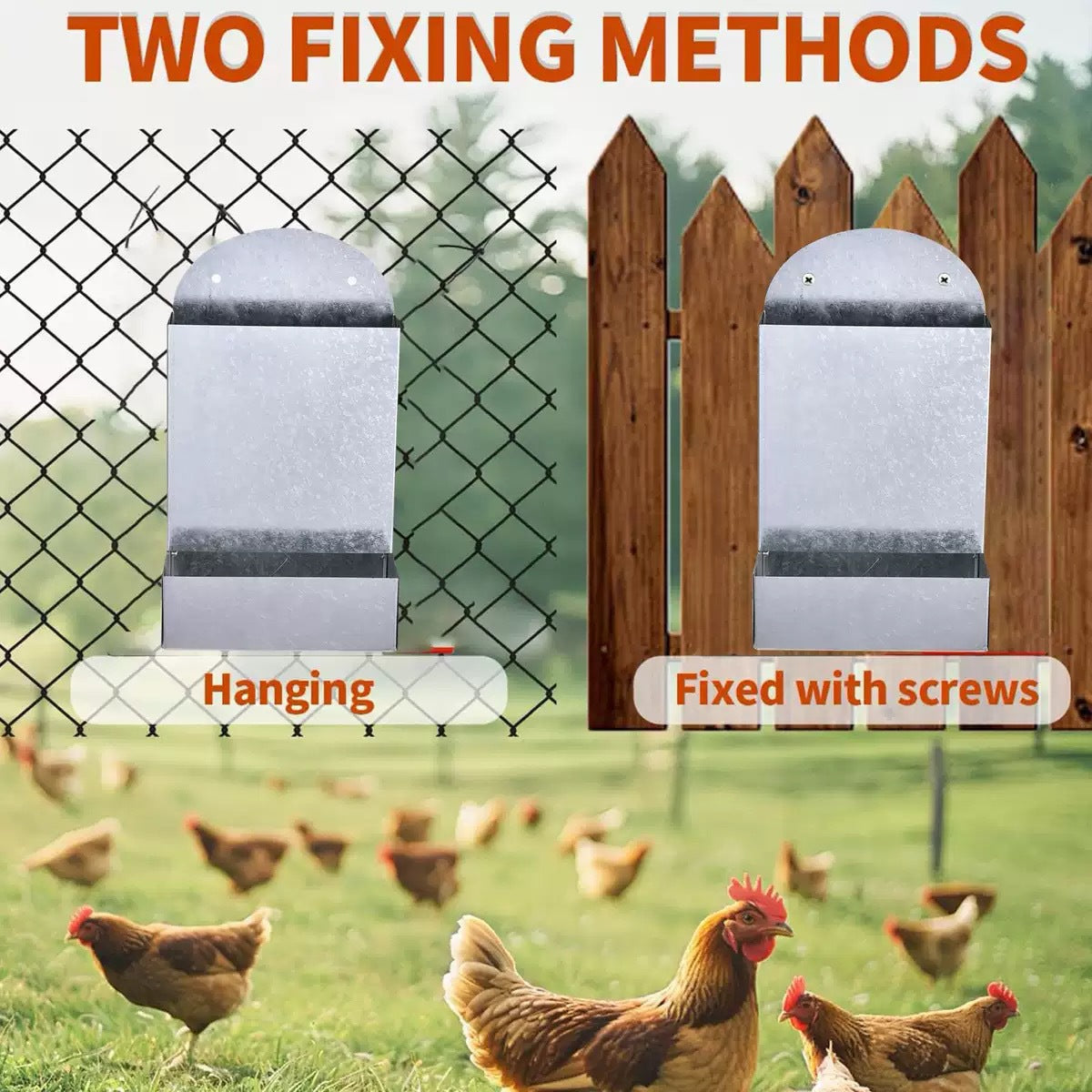 Metal Poultry Feeding Trough Bird Small Animal Feeder