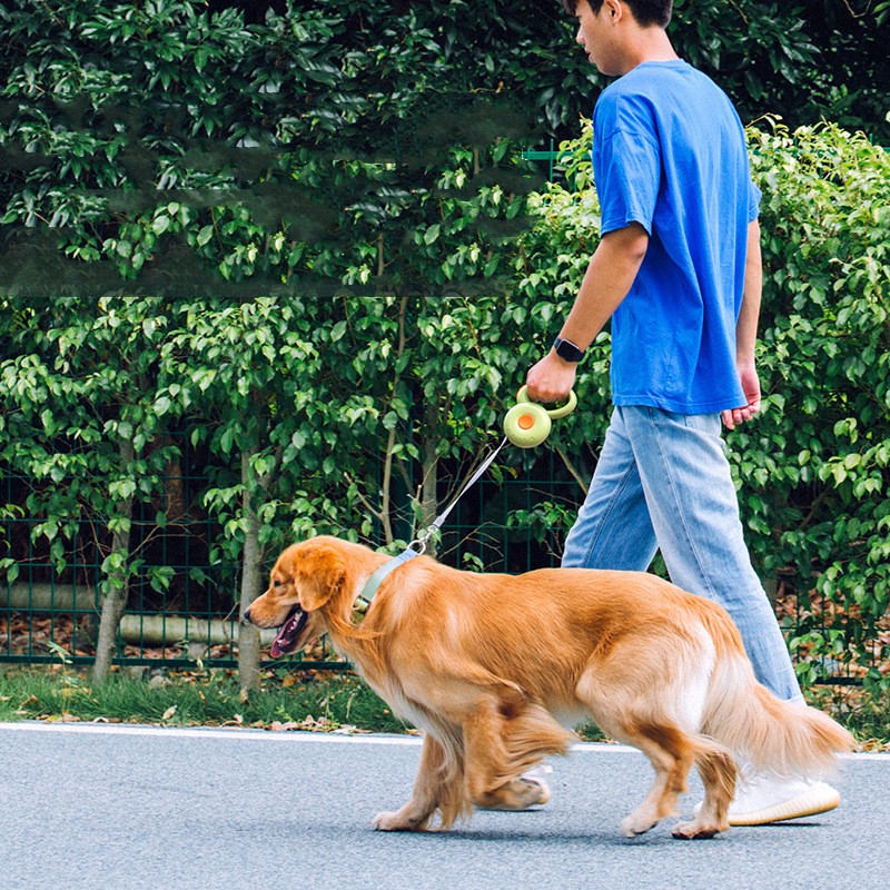 Reflective Retractable Pet Leash Rope Walking Lead