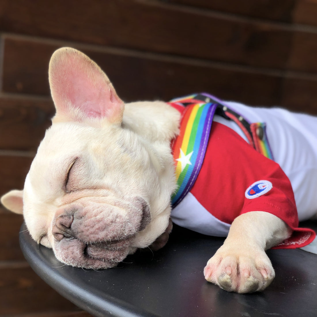 Rainbow Style Cool Pet Chain Leash Walking Lead