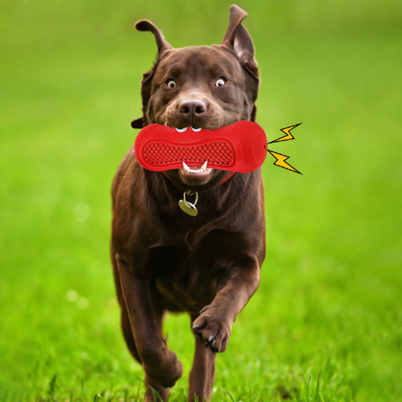 Vocal Rubber Rugby Pet Chew And Teething Toy