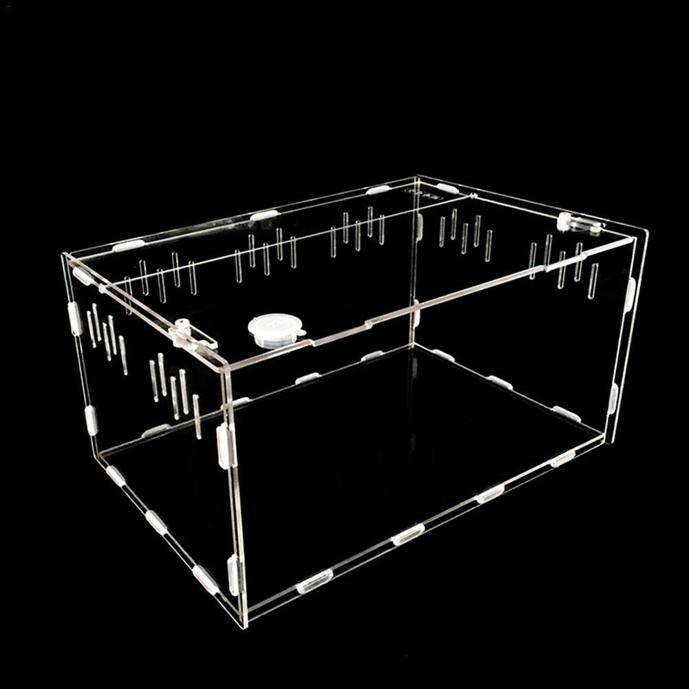 Reptile Breeding Pet Box