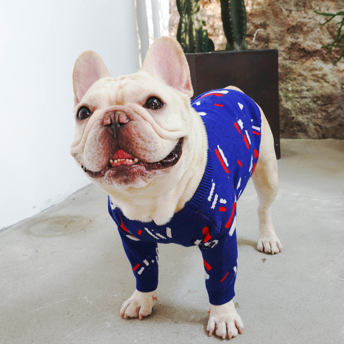 Pet Sweater Warm Knit Clothing Apparel