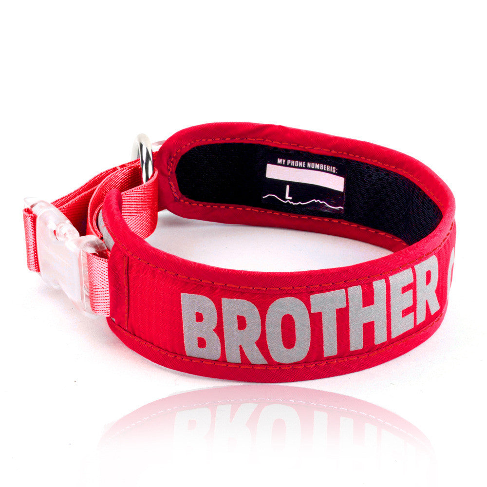 Heavy Duty Chest Strap Adjustable Pet Leash With Storage Bag