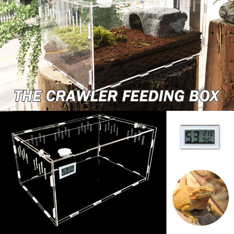 Reptile Breeding Pet Box