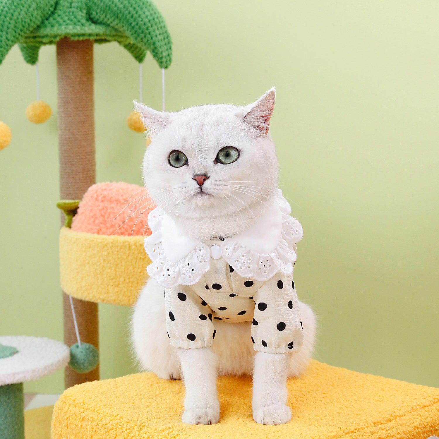 Blue Striped Pet T-Shirt Casual Clothing