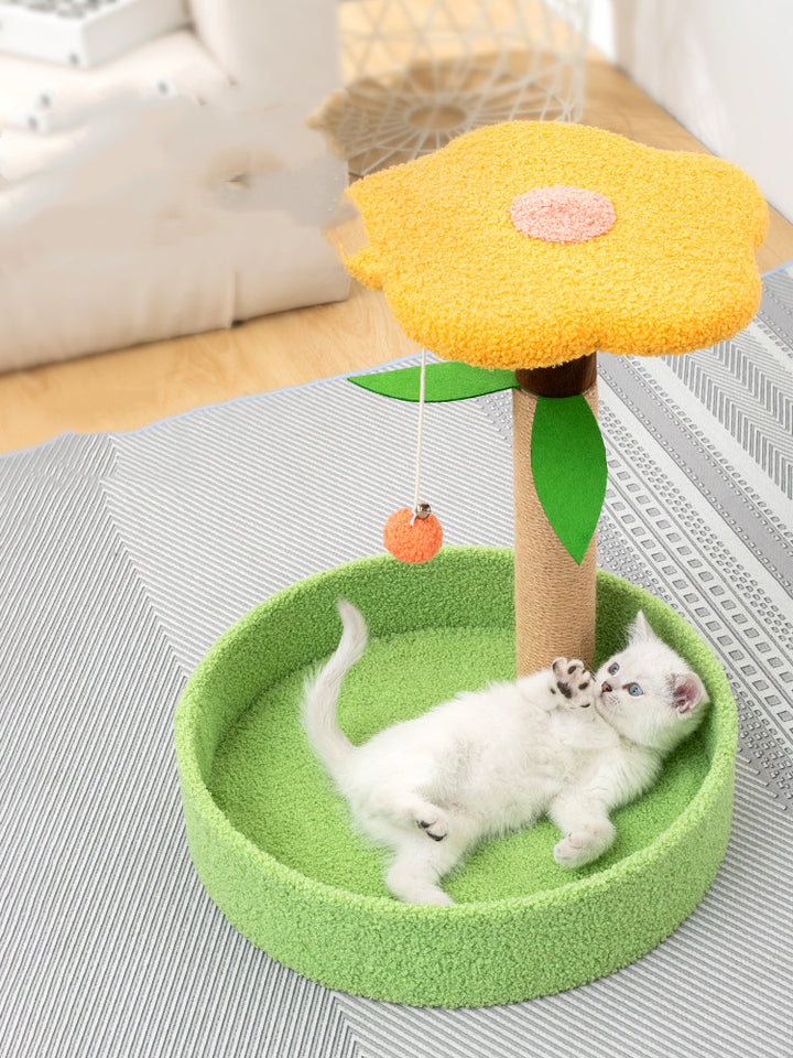 Interactive Pet Claw Grinding And Teasing Toy