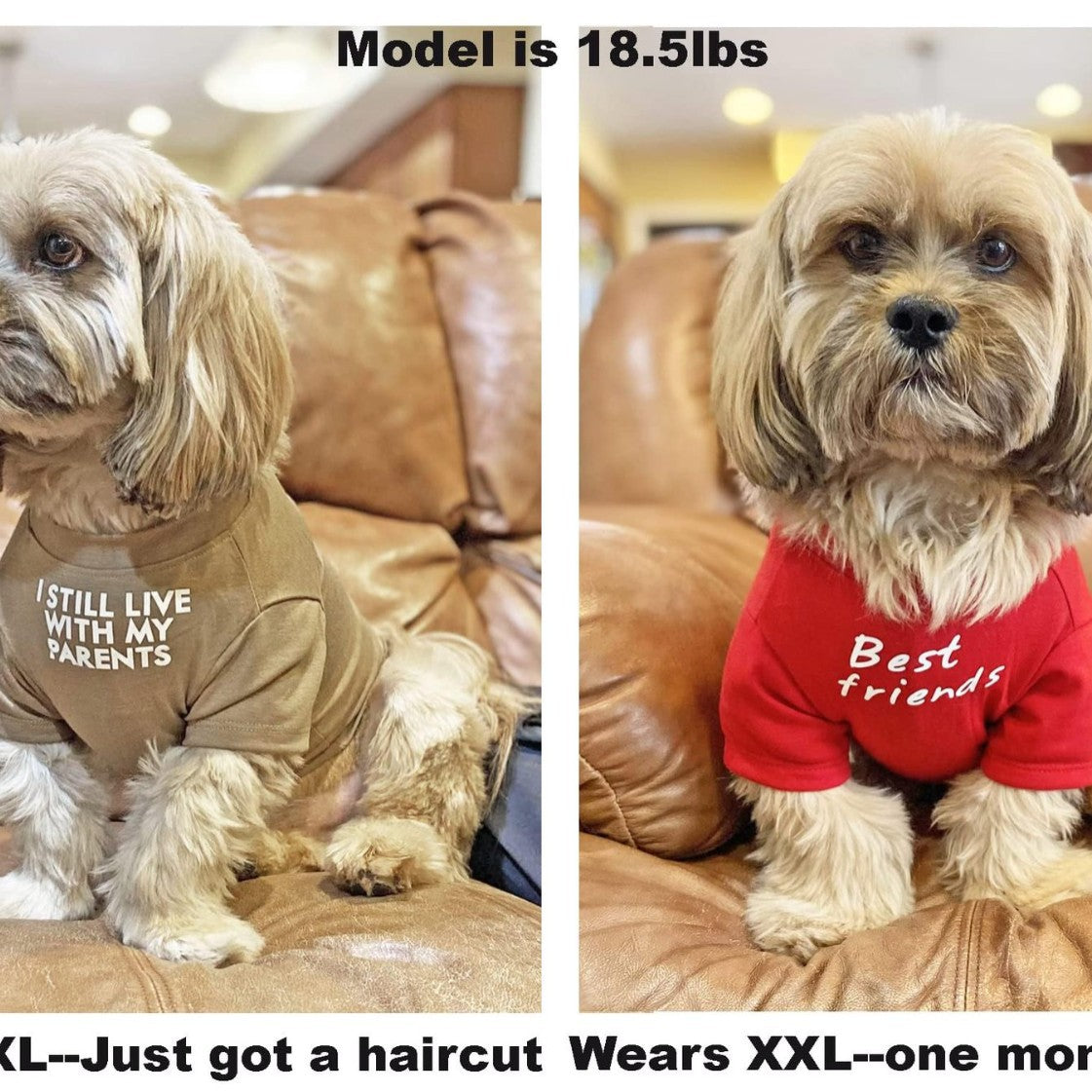 Round Neck Pet T-Shirt Casual Apparel