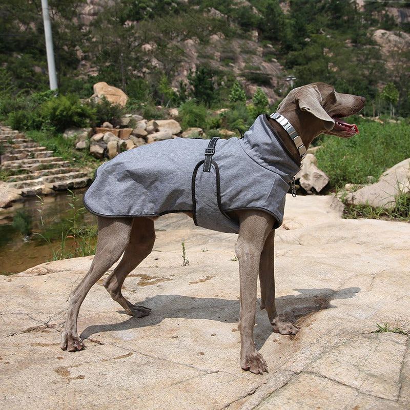 Winter Outdoor Ski Suit Pet Shell Jacket
