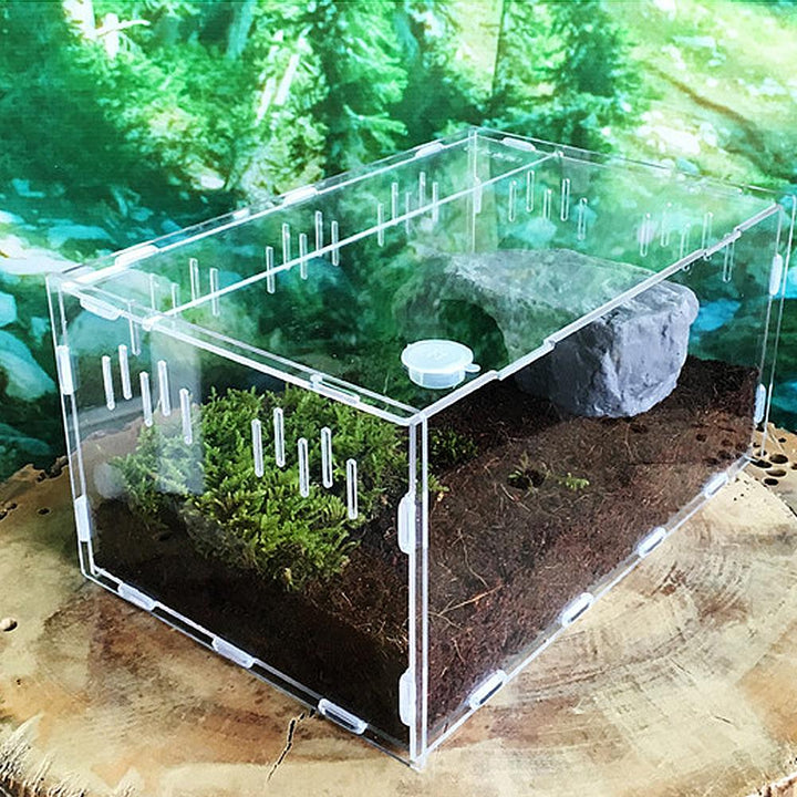 Reptile Breeding Pet Box