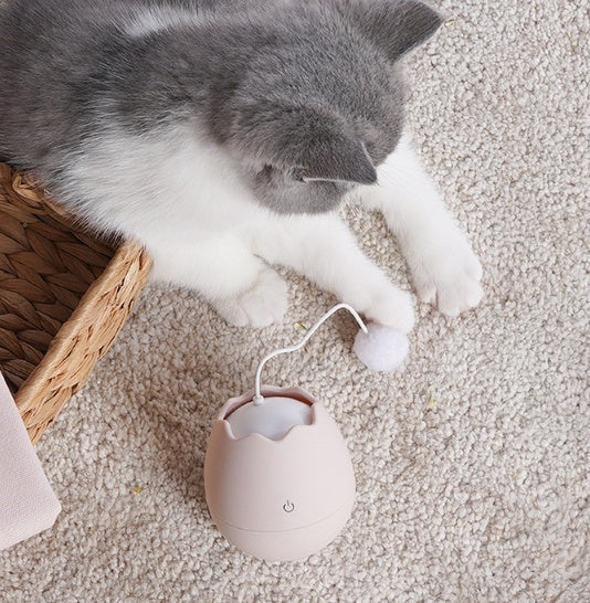 Interactive Pet Funny Play And Entertainment Toy