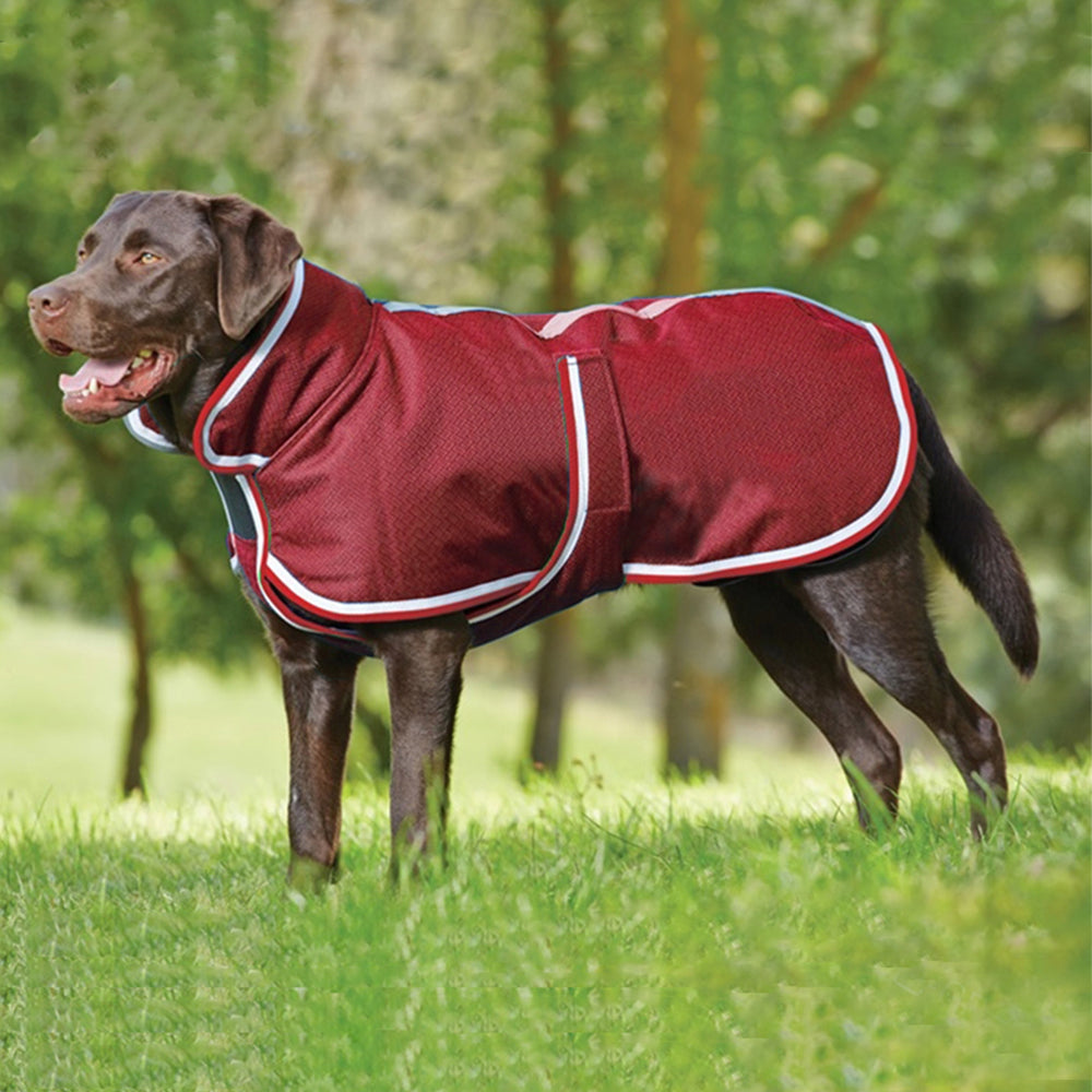 Autumn Winter Waterproof Warm Leisure Pet Jacket