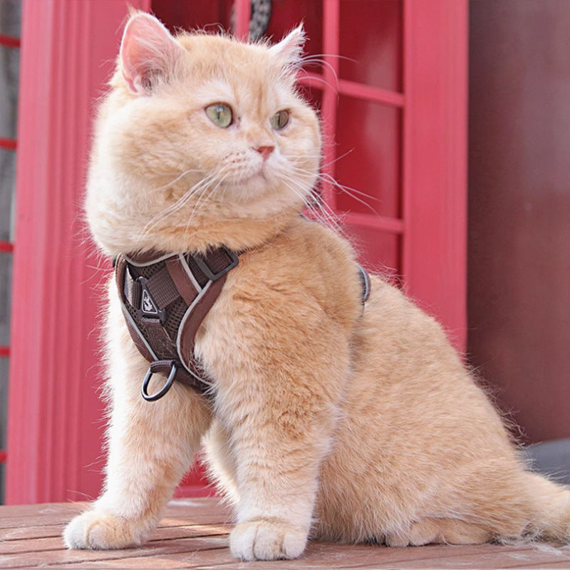 Pet Chest Harness Vest With Leash For Secure Control