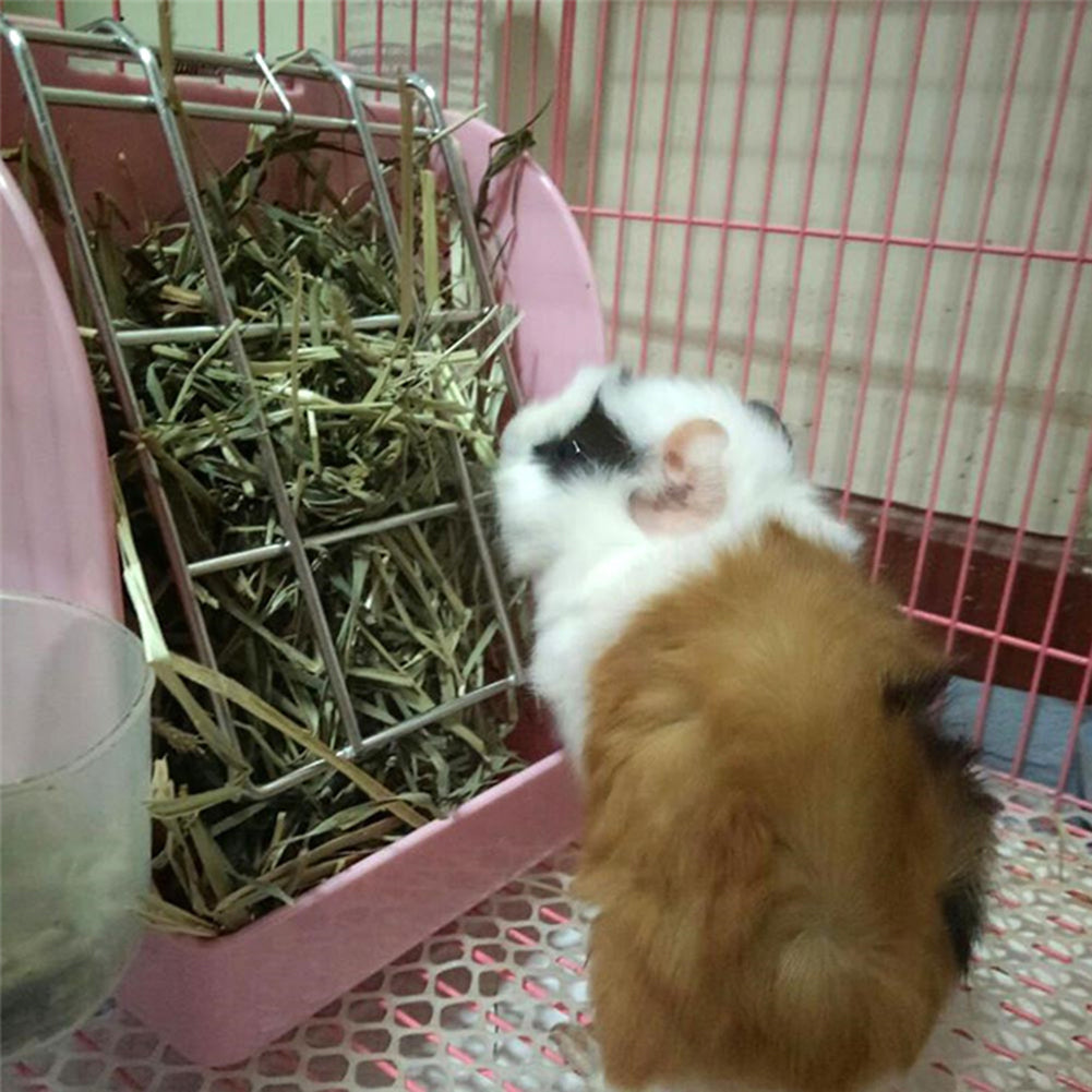 Rabbit Grass Feeder