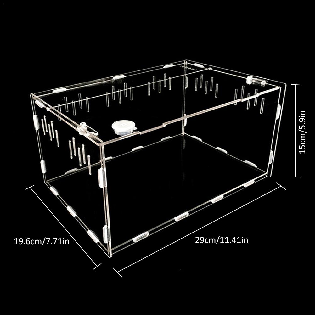 Reptile Breeding Pet Box