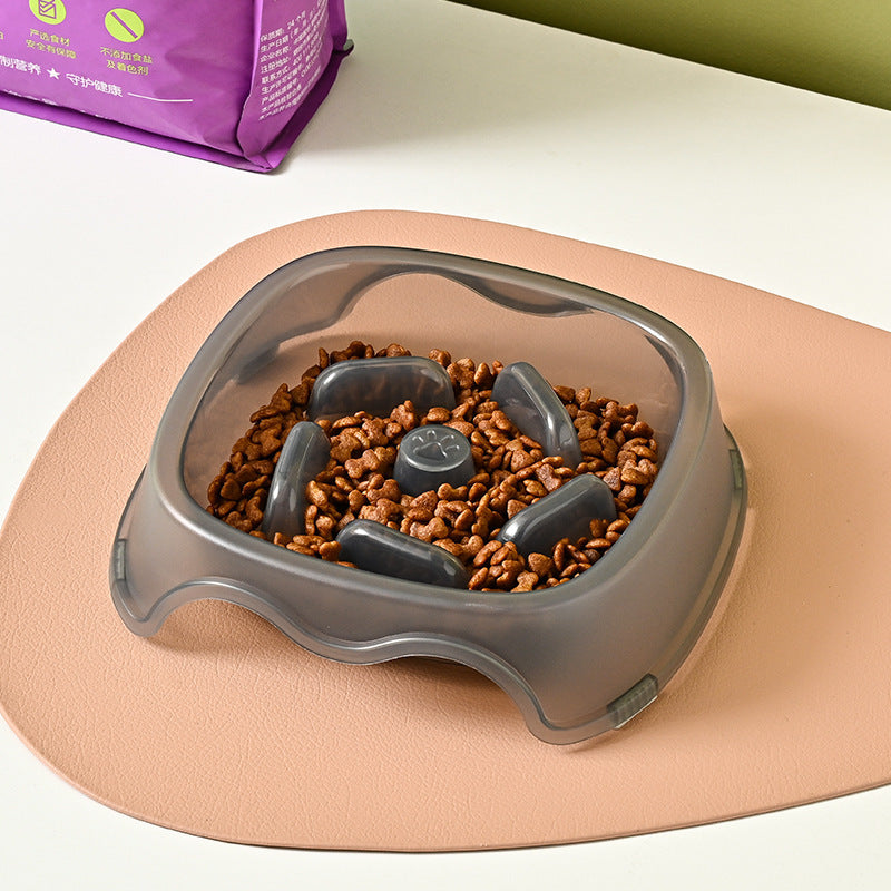 Slow Feeding Anti Choking Pet Water Bowl