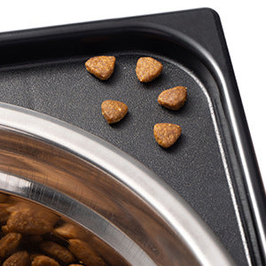 Pet Lifting Feeding Bowl Neck Protection Anti-Tumble Dedicated