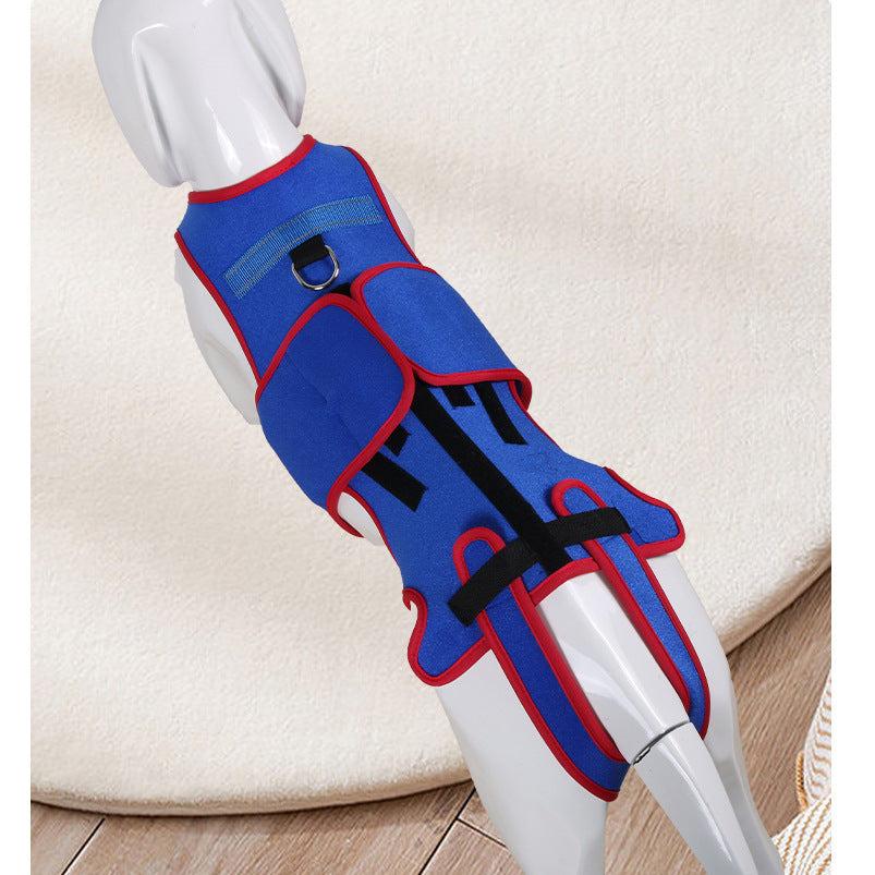 Pet Spine Support Jacket For Posture Correction And Comfort