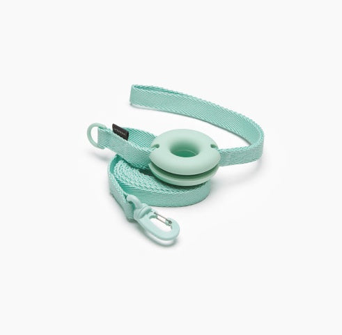 Macaron Style Fashion Pet Leash Ins Design