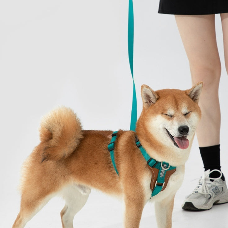 Multifunctional Pet Rope Leash With Chest Strap Safety Design