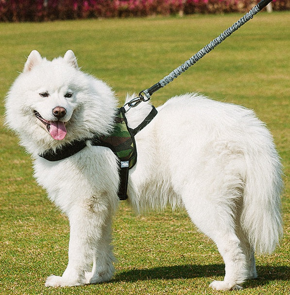 Chest Harness Adjustable Pet Leash Set