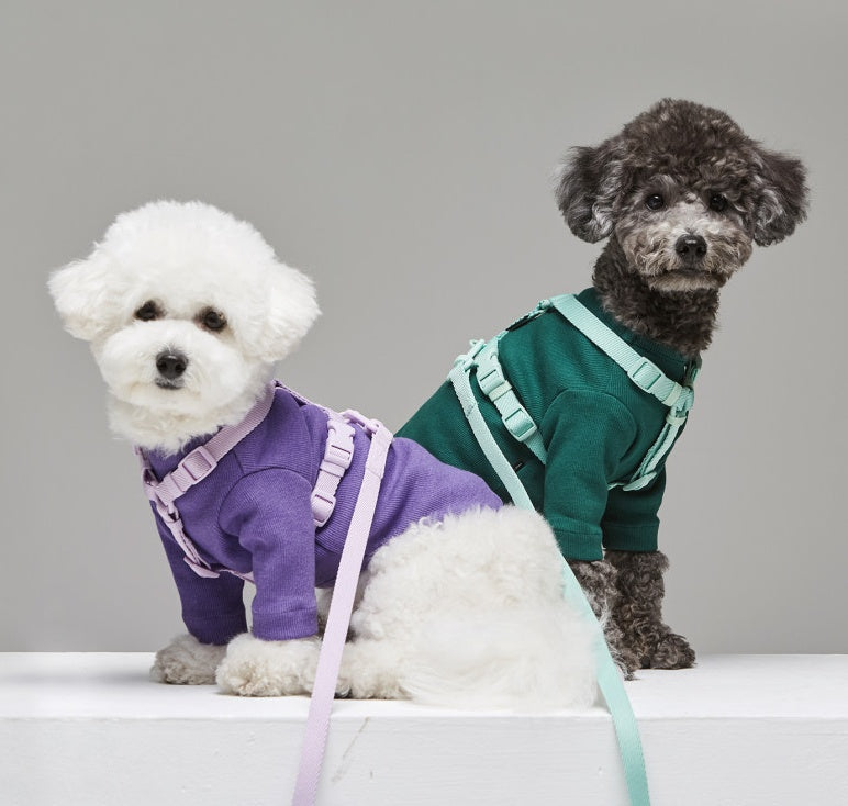 Macaron Style Fashion Pet Leash Ins Design