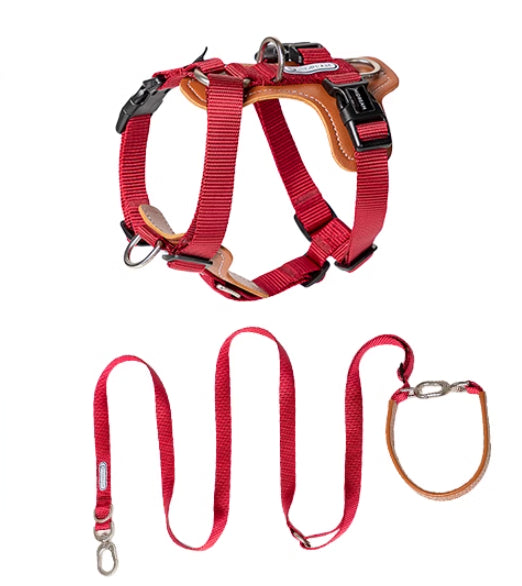 Multifunctional Pet Rope Leash With Chest Strap Safety Design
