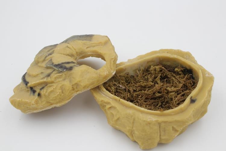 Reptile Hiding Cave