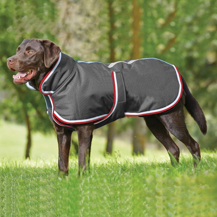 Autumn Winter Waterproof Warm Leisure Pet Jacket