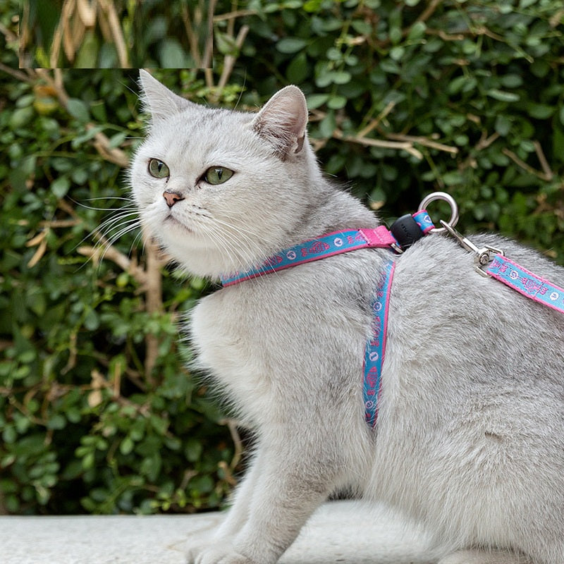 Bell Chest Strap Vest With Leash For Small Pet Control