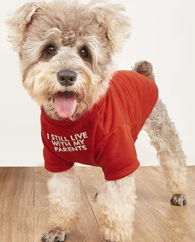 Round Neck Pet T-Shirt Casual Apparel