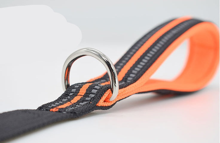 Nylon Retractable Assisted Pet Leash Adjustable Walking Lead