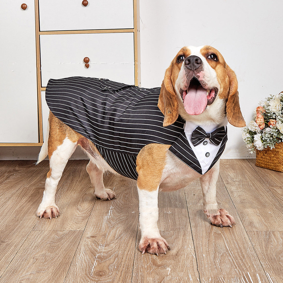 Formal Swallowtail Pet Suit Jacket Clothing