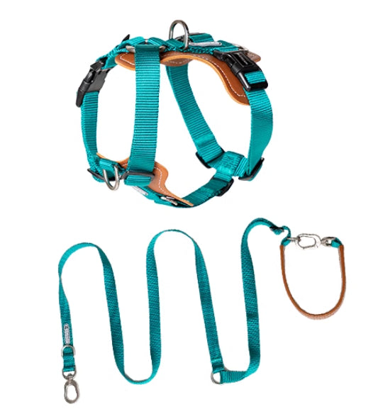 Multifunctional Pet Rope Leash With Chest Strap Safety Design