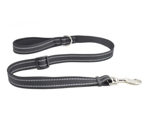 Nylon Retractable Assisted Pet Leash Adjustable Walking Lead