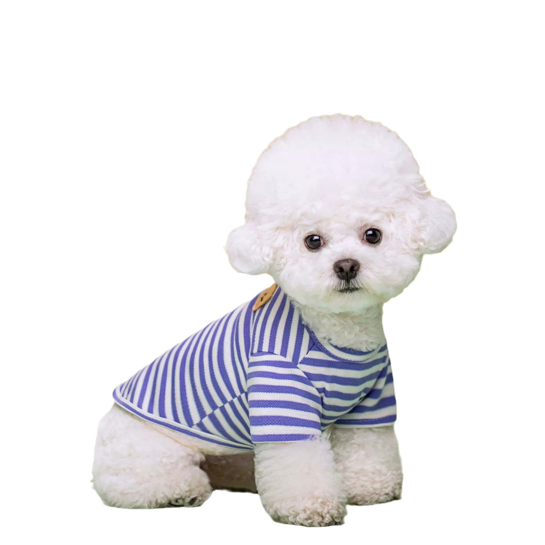 Breathable Summer Pet T-Shirt Clothing