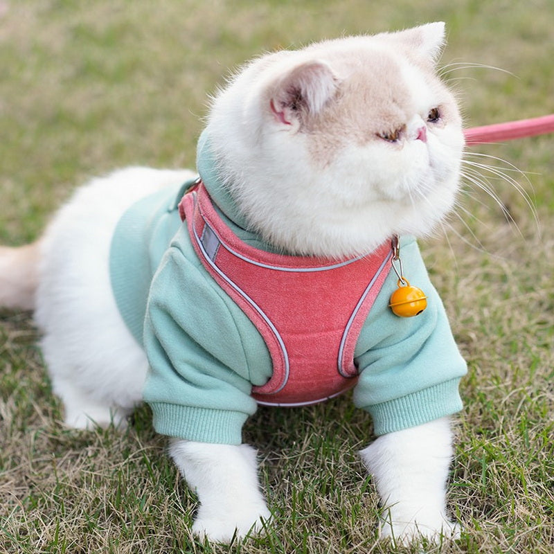 Vest Type Chest Harness Adjustable Pet Leash