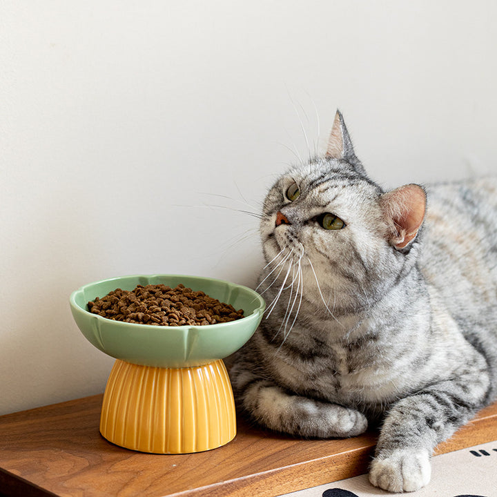Candy Color Ceramic Pet Feeding Bowl Macaron Style