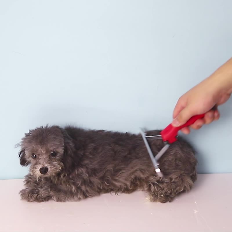 Extra-Large Pet Rake Comb For Deshedding Grooming Tool