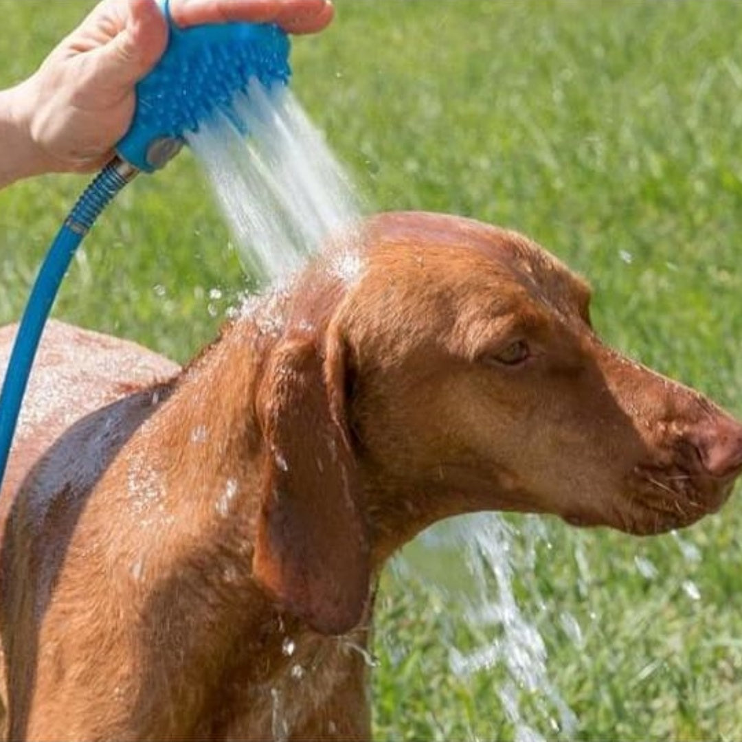Pet Silicone Bath Glove Shower Massage Cleaning Tool