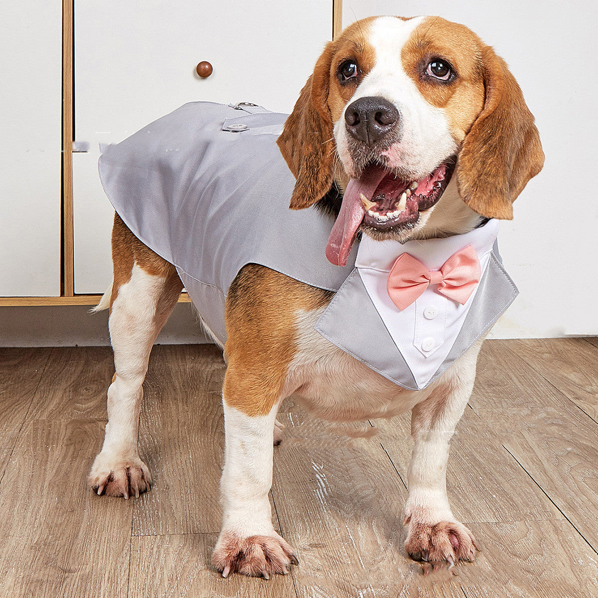 Formal Swallowtail Pet Suit Jacket Clothing